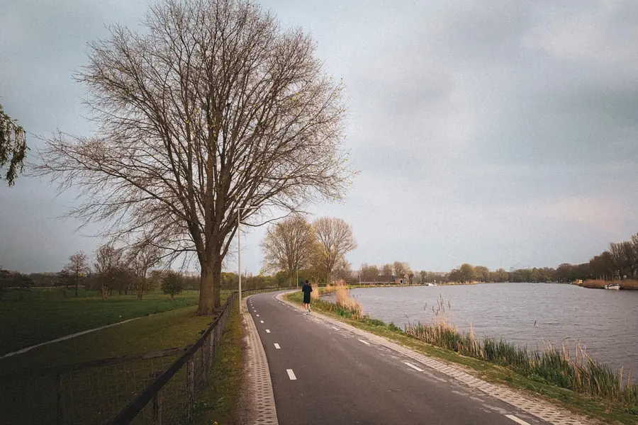 Cycle path along the river Amstel with meadows and a bare tree, near Ouder-Amstel