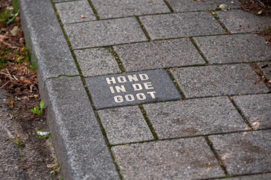 Betonnen stoeptegels en een trottoirband met de tekst Hond in de goot, de plek waar onder de grond de huisaansluiting op het riool loopt